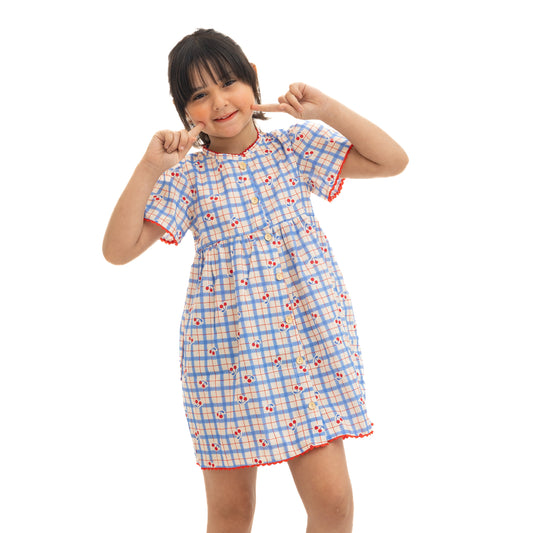 Blue Checkered Dress