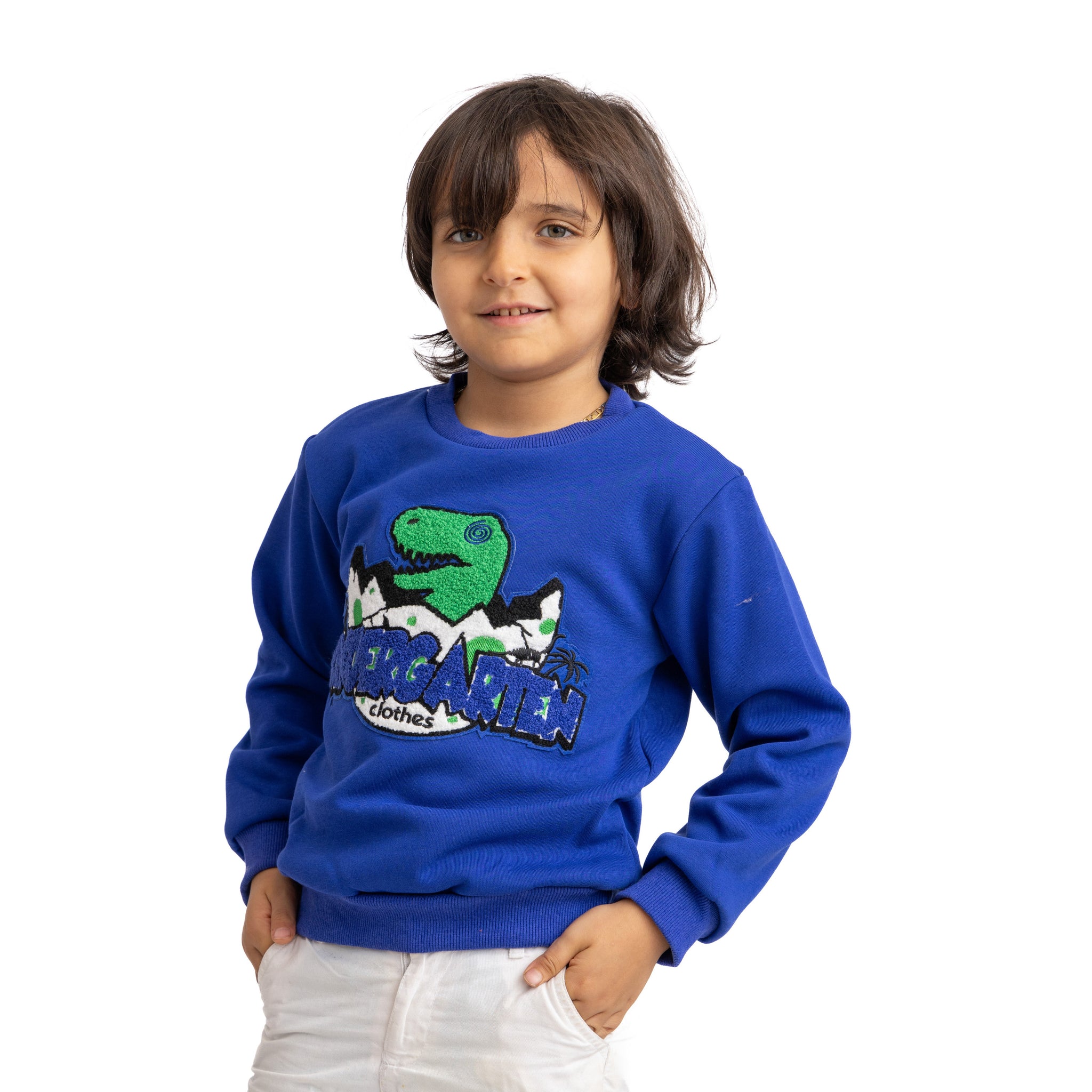 blue sweatshirt with dragon print