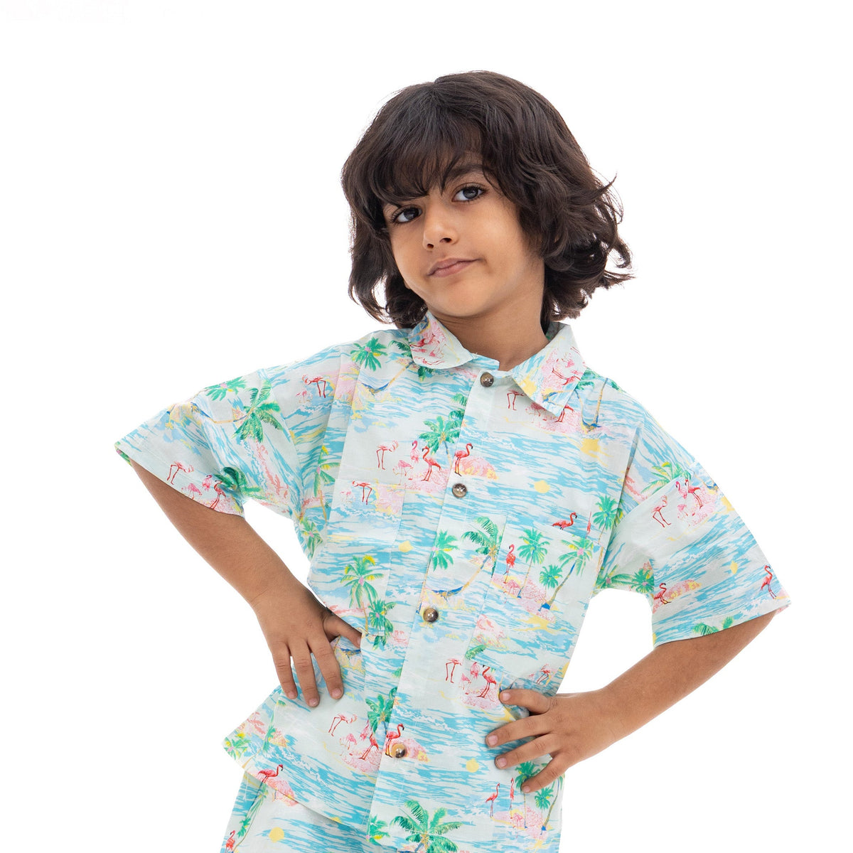 Hawaii Boy T-Shirt