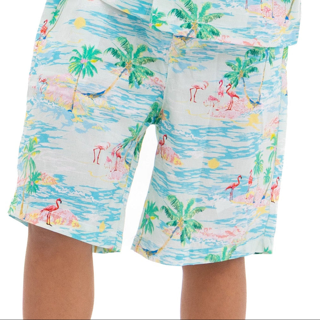Hawaii Print Boys' Shorts