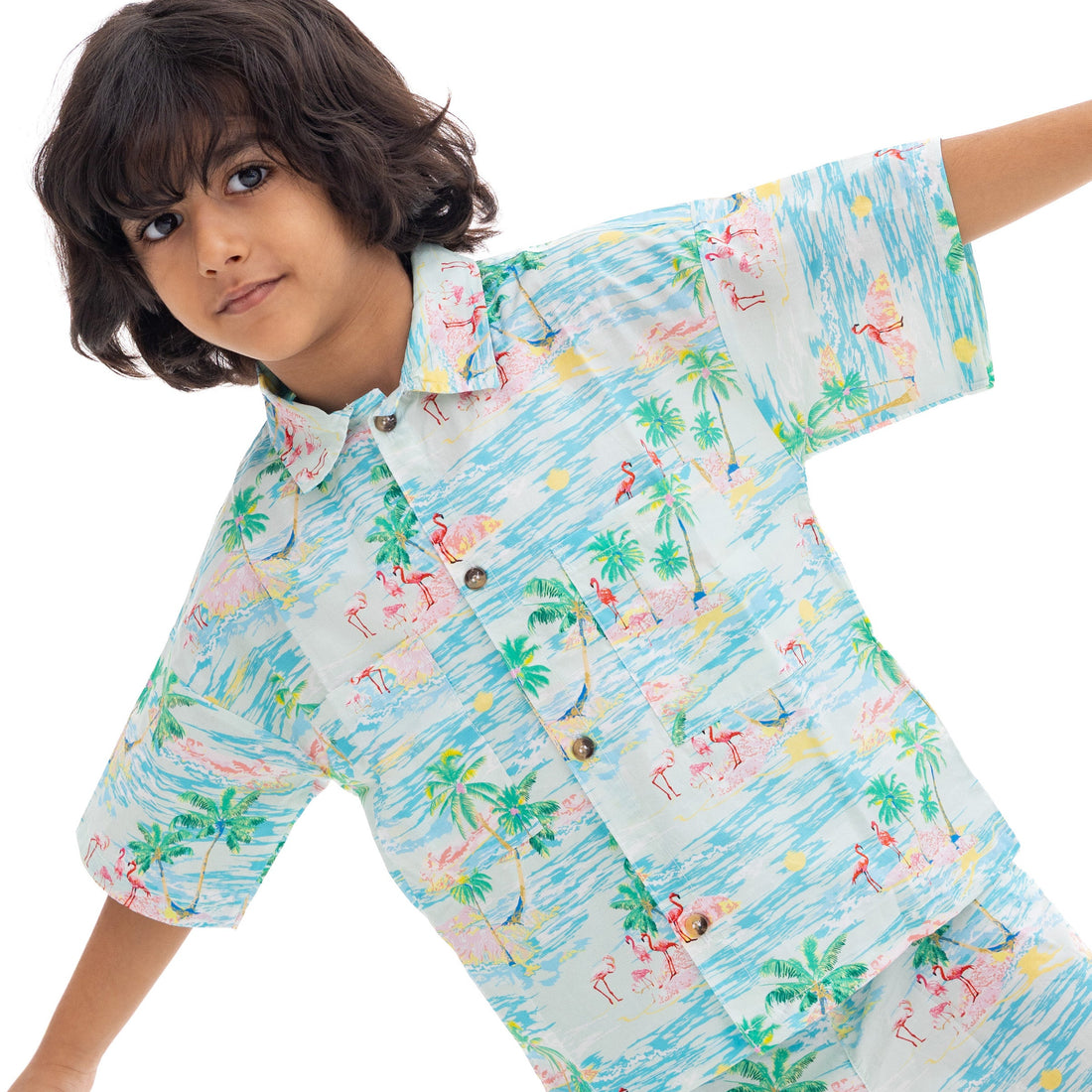 Hawaii Boy T-Shirt