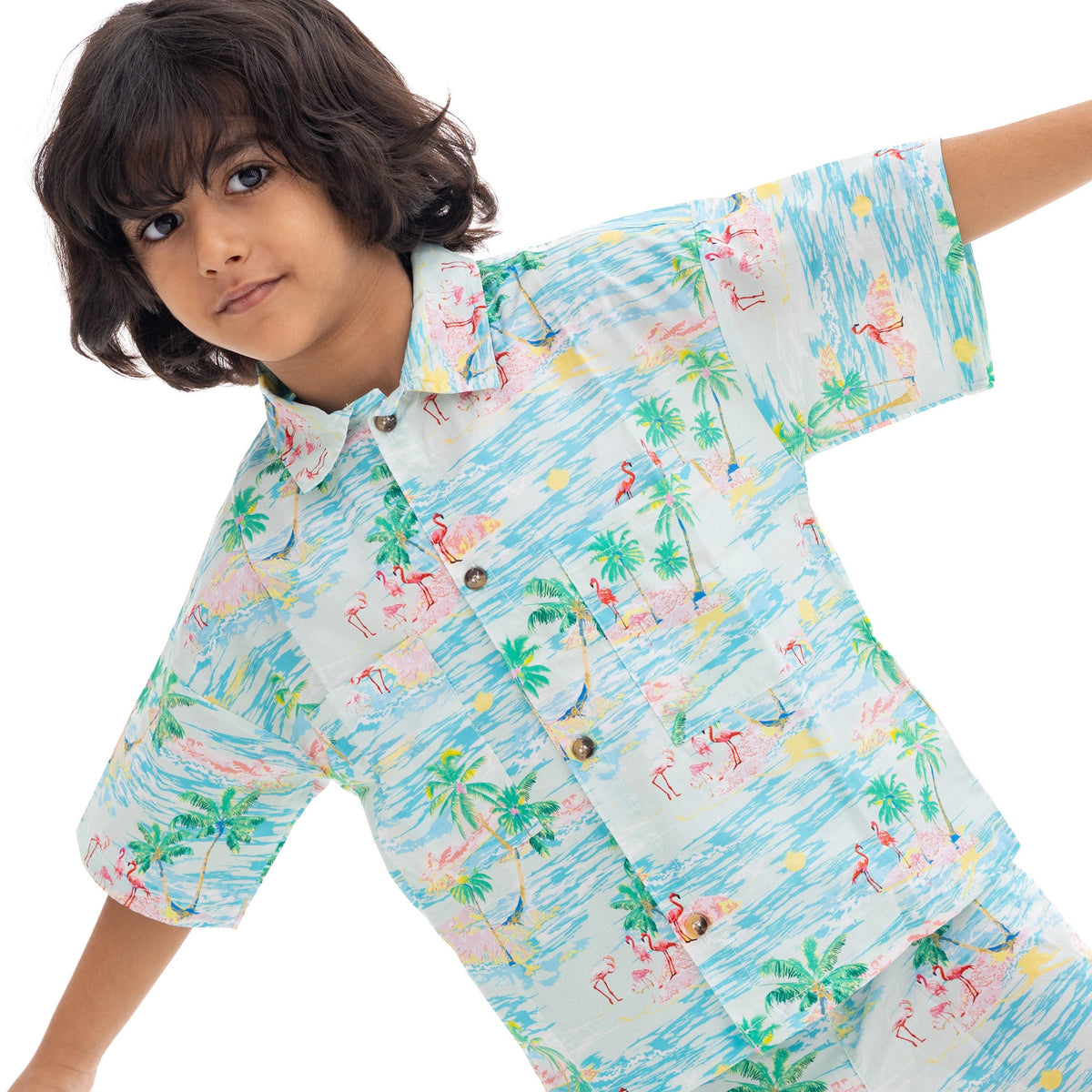 Hawaii Boy T-Shirt