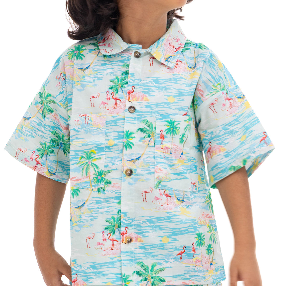 Hawaii Boy T-Shirt