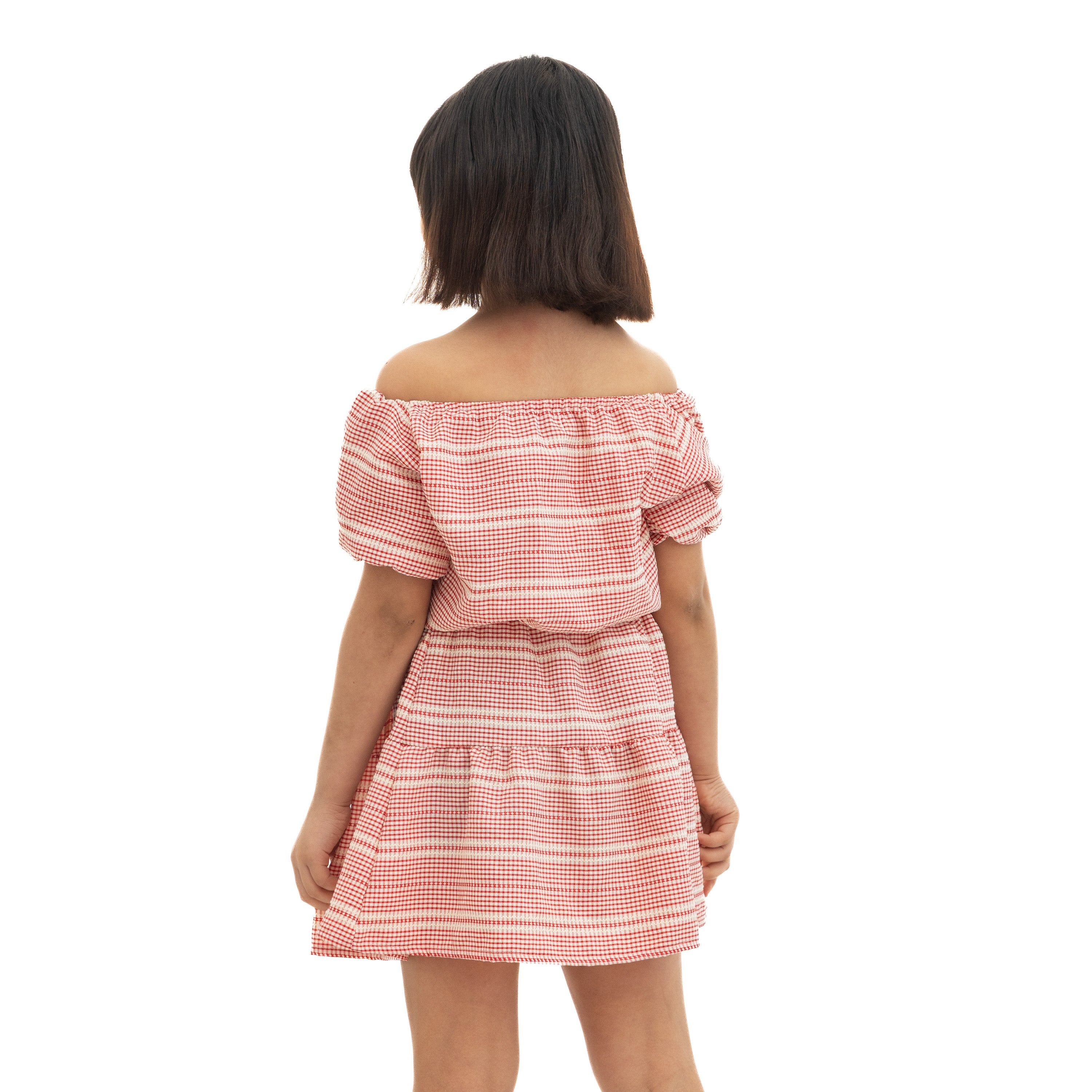 Red and White Checkered Shirt and Skirt
